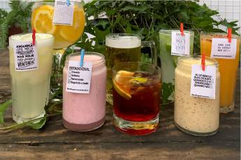 Drinks e Bebidas